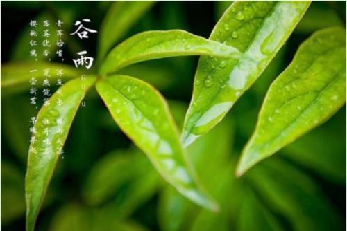 有关24节气谷雨的古诗