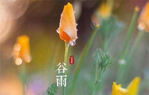 谷雨节气的诗词精选十首