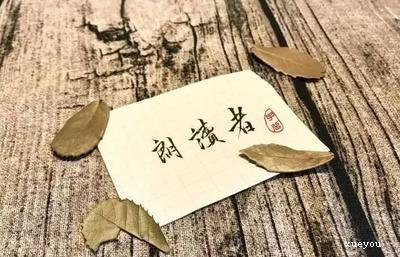 朗读者里的短篇文章