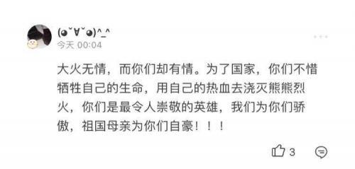 关于四川木里救火勇士牺牲一周年心得体会大全
