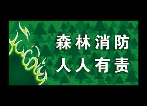 护林防火宣传稿大全