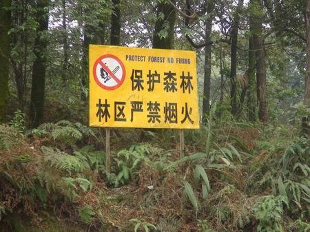 护林防火宣传稿精选三篇