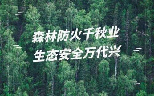 2020写森林防火的优秀作文大全