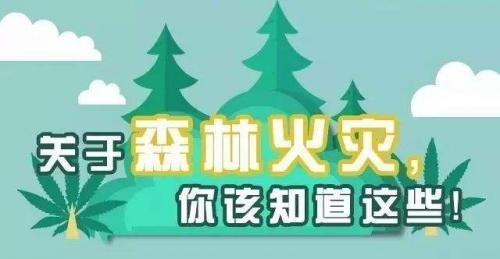 2020年森林防火倡议书800字精选3篇