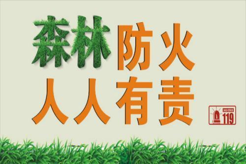 精选森林防火的经典语句