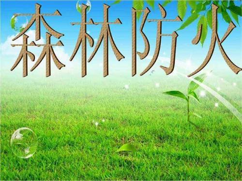 森林防火宣传语40句