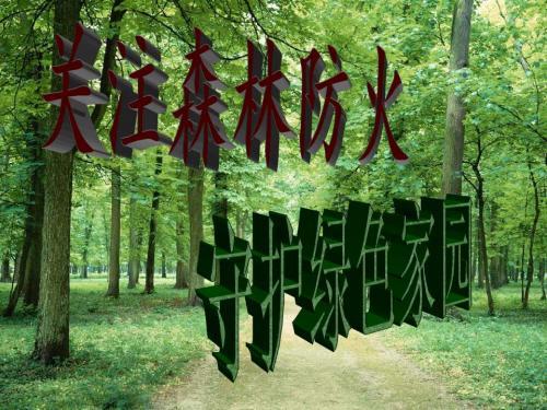 森林防火宣传语大全