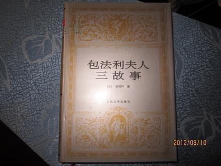 《包法利夫人》初中生优秀读后感精选三篇