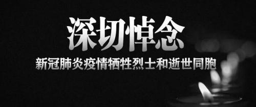 2020清明4.4全国默哀活动缅怀抗疫烈士心得体会摘抄
