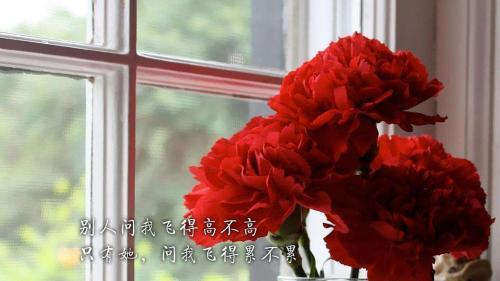 奋斗励志语录摘抄