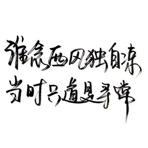 正能量毒鸡汤语录精选50句
