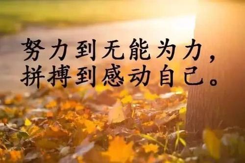 正能量毒鸡汤语录摘抄
