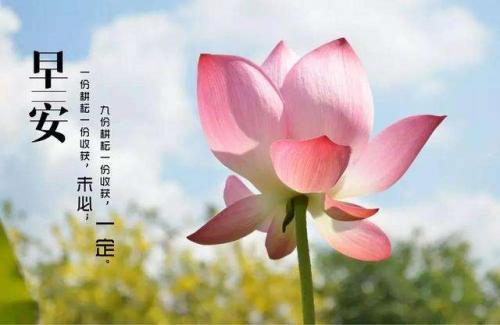 适合大清早发的朋友圈大全