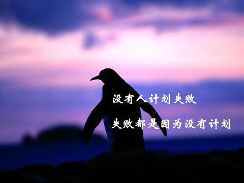 经得起挫折的励志句子摘抄