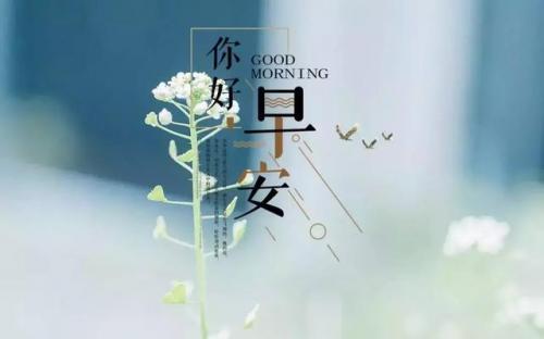 2020最新微商营销文案 朋友圈励志文案精选
