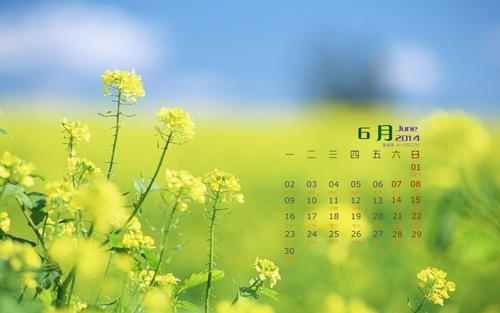 迎接六月的励志句子合集40句