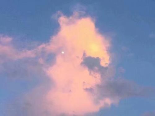 温柔干净的文案大全