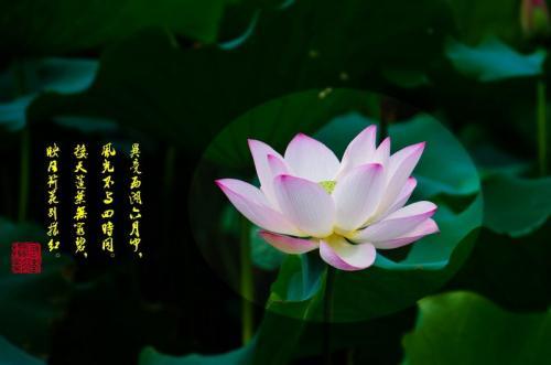 关于六月最好的朋友圈说说40句
