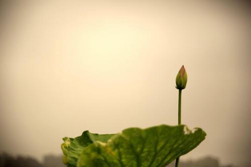 六月发朋友圈的说说推荐