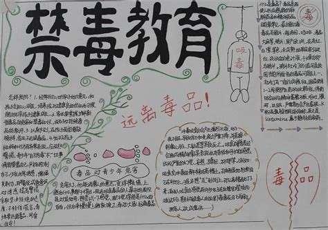 2020国际禁毒日手抄报内容大全