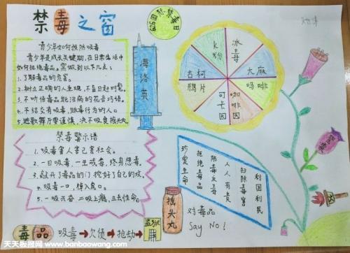禁毒日宣传教育手抄报大全