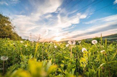 挽回爱情秘籍35句:挽回爱情的话 让你们情感升温